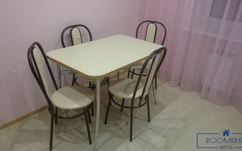 Однокомнатная квартира на сутки в Минске Ольшевского кухня