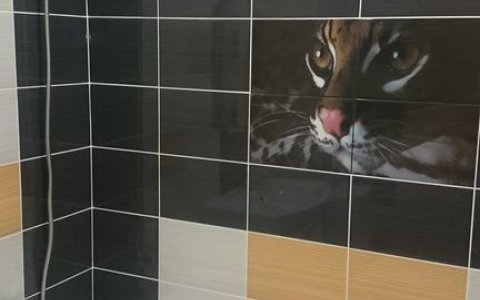 Однокомнатная квартира на сутки в Минске Ольшевского ванна