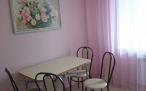 Однокомнатная квартира на сутки в Минске Ольшевского кухня